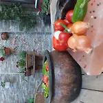 Araz Bursa