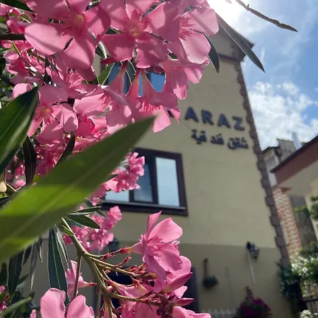 Araz Bursa
