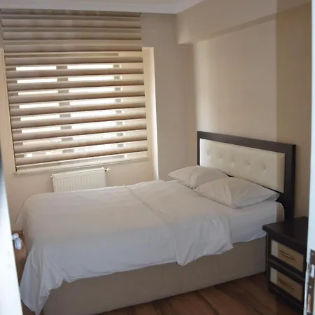 Araz Daire Bursa